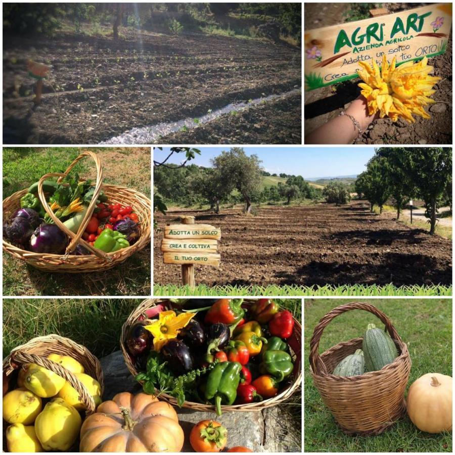 Agri Art Villa San Benedetto Ullano Exterior foto