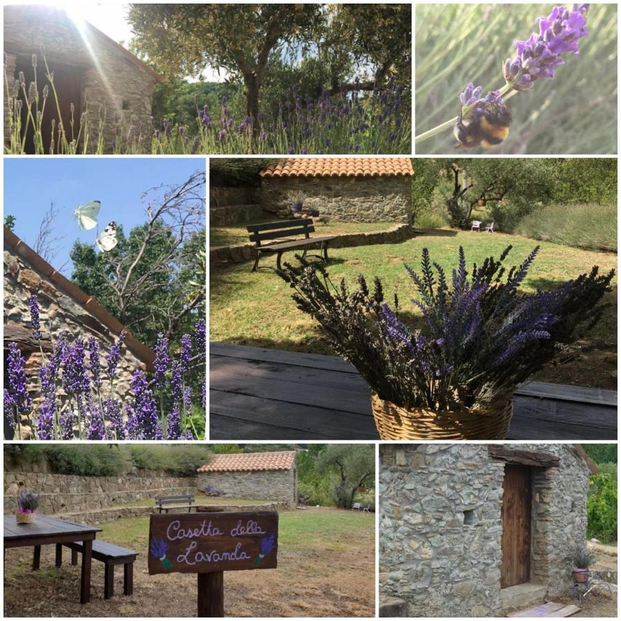 Agri Art Villa San Benedetto Ullano Exterior foto